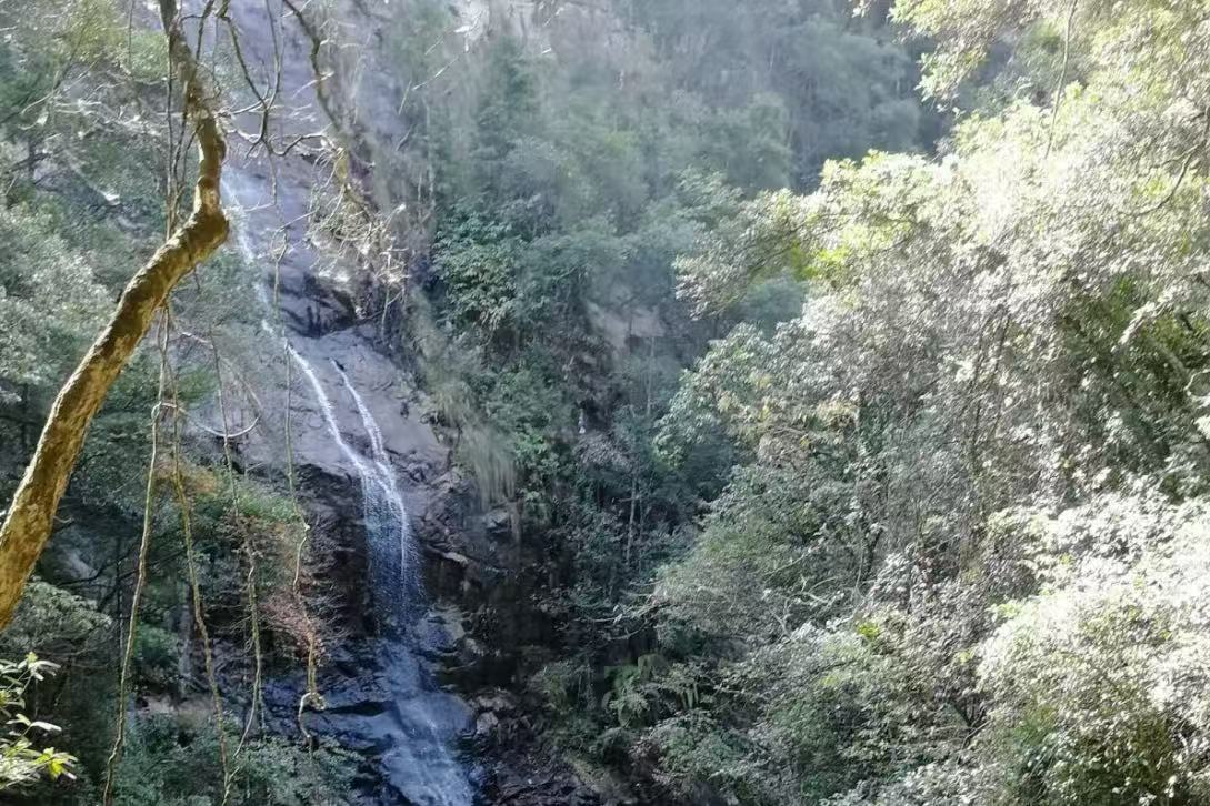 Jiulongjiang National Forest Park